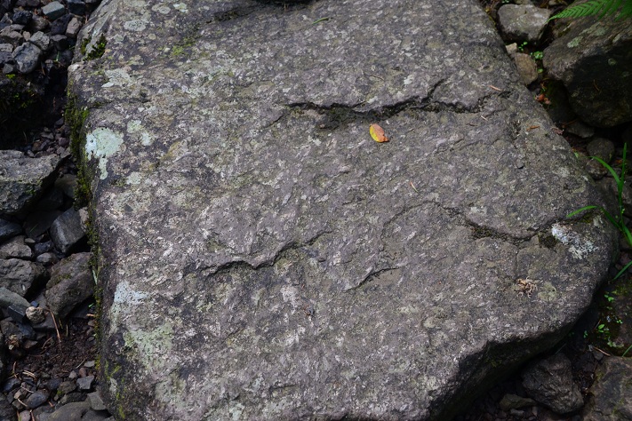 Rombeporfyr i løsblokk i Asdøljuvet. På de mange elvekrysningene faller det naturlig å skritte fra stein til stein, og da er det rikelig anledning til å bli kjent med denne lavabergarten som kun finnes noen få steder i verden. Foto: Halfdan Carstens