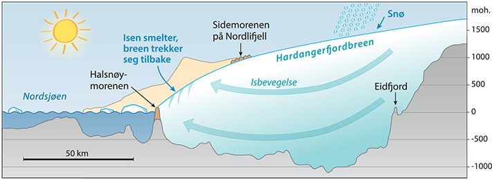 Lengdeprofi l av Hardangerfjordbreen under yngre dryas. Utenfor breen viser beige farge et skjematisk profi l av fjellene ut til kysten. Likevektslinjen, altså grensen mellom området med årlig akkumulasjon av snø og området med overskudd av smelting, lå den gang 630 m lavere enn i dag. Grafikk: Eva Bjørseth