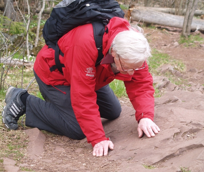 Inge Bryhni har en lang karriere bak seg som geolog, men også som formidler av geologisk kunnskap til allmennheten. Som førstekonservator ved Naturhistorisk museum var begge deler viktige oppgaver. Pensjonisttilværelsen har han bl.a. fylt som medredaktør av Landet blir til (Norsk Geologisk Forening, 2006) og som fast skribent for Store Norske Leksikon. Han har også skrevet sitt eget oppslagsverk på internett, GeoLeksi, hvor du kan finne forklaringer på geologiske ord og uttrykk. Foto: Halfdan Carstens