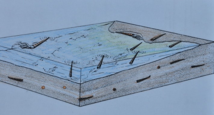 Slik tenker tegneren at det kan ha sett ut i det ordoviciske havet og sedimentene under. Legg merke til at vi ser både tverrsnitt og lengdesnitt av blekksprutene i og de øverste sedimentene.