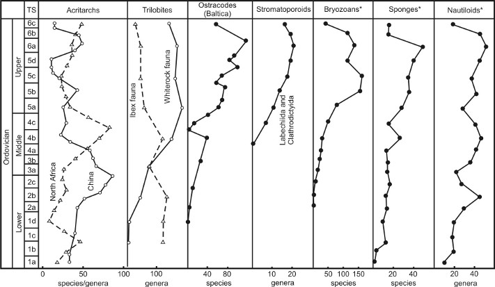 Diversification of the plankton; increases in plankton diversity are tracked by those in the benthos. Courtesy of Thomas Servais, University of Lille