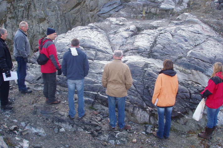 Thorium finnes i bergarten søvitt. En verneverdig forekomst er nylig funnet i et nedlagt steinbrudd. Foto: Nome kommune