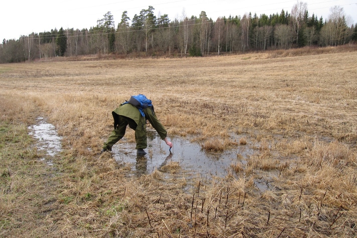 Feltarbeid for geofagelever er en av de store utfordringene som geofaglæreren har. Foto: Kari Beate Remmen
