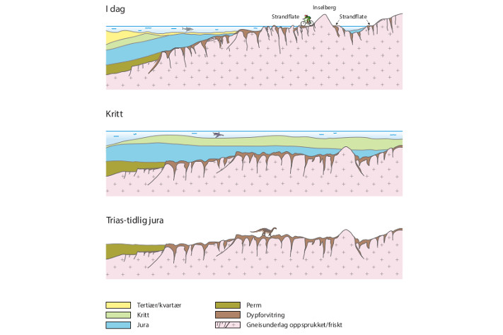 Utviklingsmodell for den ytre strandflaten i Nordland. I kritt-tiden (145-66 millioner år siden) sto havnivået 200-300 m høyere enn i dag, og sedimentære bergarter ble avsatt innover et dypforvitret grunnfjell langs norskekysten. I siste del av tertiær sank havnivået, og fastlandet ble hevet. Dermed ble landområdene utsatt for erosjon. I kvartærtiden, og spesielt de siste 600.000 årene, førte de mange nedisingene til økt erosjon og ytterligere landhevning. De sedimentære lagene og underliggende dypforvitrede bergarter ble dermed skråstilt og avkuttet langs kysten. Bredden av strandflaten avhenger av 1) fallvinkelen på grenseflata mellom gneisunderlaget og de overliggende sedimenter, 2) intensitet og dyp av forvitringen og 3) alder på hevningen og erosjonen. Eventuelle forkastninger langs kysten kan bidra til å redusere bredden på strandflaten (slik som utenfor Stad og Lofoten) eller øke bredden (f.eks. i Trøndelag) avhengig av hvor og hvordan forkastningene opptrer. © NGU