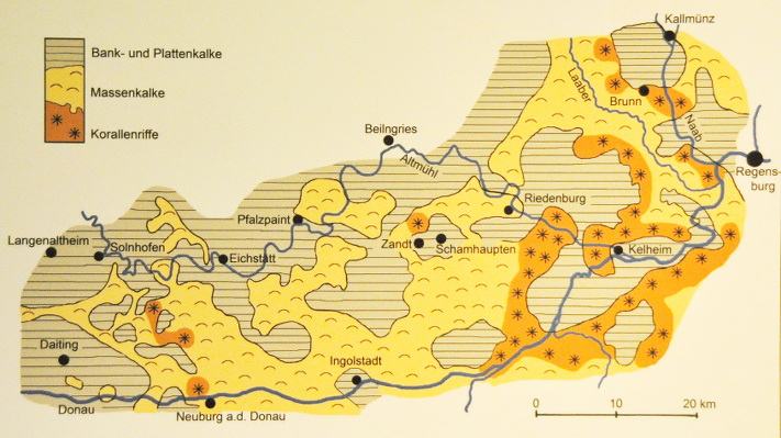 Paleogeografi mellom Regensburg og Solnhofen nord og nordvest for München. Kilde: Bürgermeister-Müller-Museum, Solnhofen