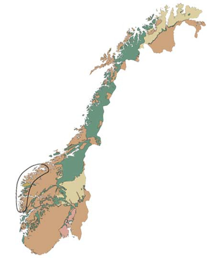 Eklogitt forekommer som lag og linser i gneiser og andre bergarter i de dypere delene av fjellkjeden, og den tunge steinen er vanlig langs hele kyststrekningen fra Bergen til Møre. Store forekomster finns først og fremst i Nordfjord i Sogn og Fjordane og i de ytre delene av Møre og Romsdal, og flere av dem er fredet. Det finnes også enkelte forekomster i Nordland og Troms.