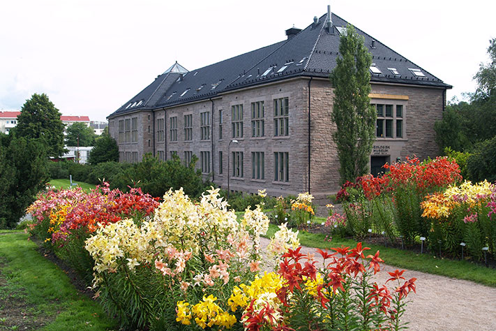 Blomsterprakten gjør at Naturhistorisk museum tar seg spesielt godt ut om sommeren. Her ser vi W.C. Brøggers hus med Geologisk museum. Bygningen er oppkalt etter en av Norges mest kjente og anerkjente geologer gjennom tidene, Waldemar Chr. Brøgger (1851-1940). W.C. Brøggers hus fra 1917 er bygget med drammensgranitt, som ved siden av nordmarkitt var en meget populær bygningsstein for 100 år siden. Foto: Halfdan Carstens