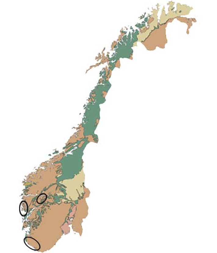 Anortositt finnes flere steder i Norge som store massive fjellpartier. Flere av de velkjente landemerker i Lofoten, Jotunheimen og Bergensbuen er oppbygget i anortositt og månelandskapet mellom Jæren og Flekkefjord likedan. De store forekomstene av anortositt i indre deler av Sognefjorden har helt siden tidlig i forrige århundre vært kjent og vurdert som en mulig industriressurs på grunn av et høyt aluminiuminnhold. Verdens nest største forekomst av ilmenittmalm er knyttet til anortositt i Egersundsfeltet, og Titania AS har storstilt drift i et dagbrudd i Hauge sør for Egersund. Nå har Titania også begynt å lukte på å bruke de enorme mengdene med anortositt som brytes (gråberg) i forbindelse med dagbruddsdriften.
