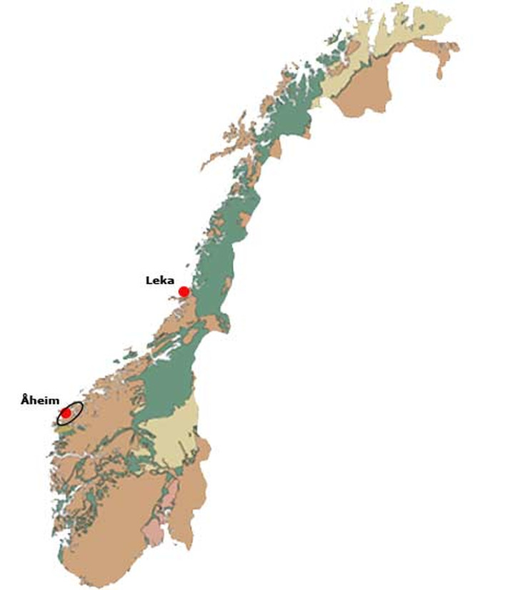 Olivinstein finnes mange steder i landet. De økonomisk viktigste forekomstene er fra Jordens urtid og ligger på Nordvestlandet, hvor forekomsten ved det lille tettstedet Åheim på Sunnmøre er verdens største produsent av denne bergarten. Mange store forekomster er knyttet til ofiolitter fra oldtiden i den kaledonske fjellkjeden, bl.a. Feragen sør for Røros, Raudfjellet i Snåsa, Leka, Helgelandskysten og Lyngshalvøya i Troms.