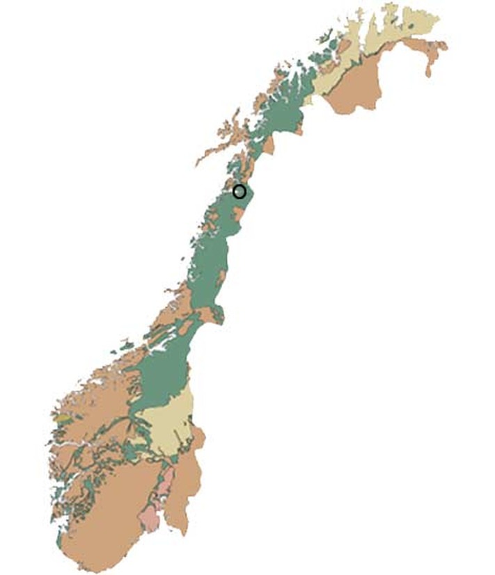 Både kalkstein og marmor (omdannet kalkstein) er en alminnelig bergart i den norske berggrunnen. Kalkstein er utbredt i Oslofeltet, mens marmor finns i grunnfjellet og de kaledonske bergartene som har vært utsatt for høyt trykk og temperatur i jordskorpen. Marmor er svært vanlig i Nordland fylke. Den egentlige fauskemarmoren finns bare i området rundt Fauske, men marmor av samme alder og utseende er funnet i området fra Ballangen i nord til Hattfjelldal i sør.