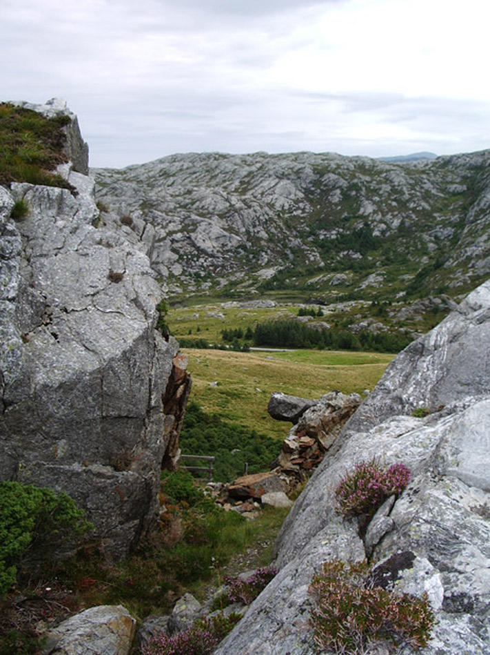 Porten til Brurastakken med fylkesvegen i bakgrunnen. Foto: Aud Elsa Grøneng